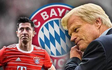 教练团队 教练团队