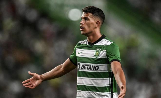 队友得分更 队友得分更