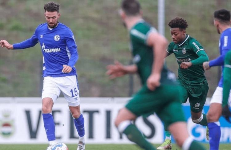 歧主要集中 歧主要集中