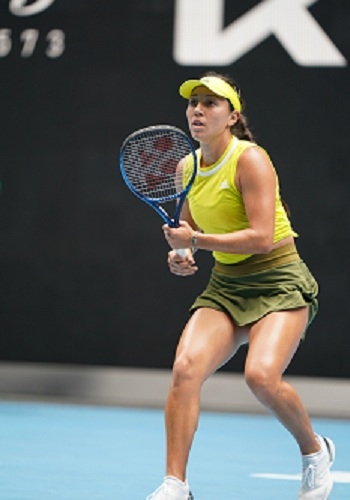 转移公众的 转移公众的